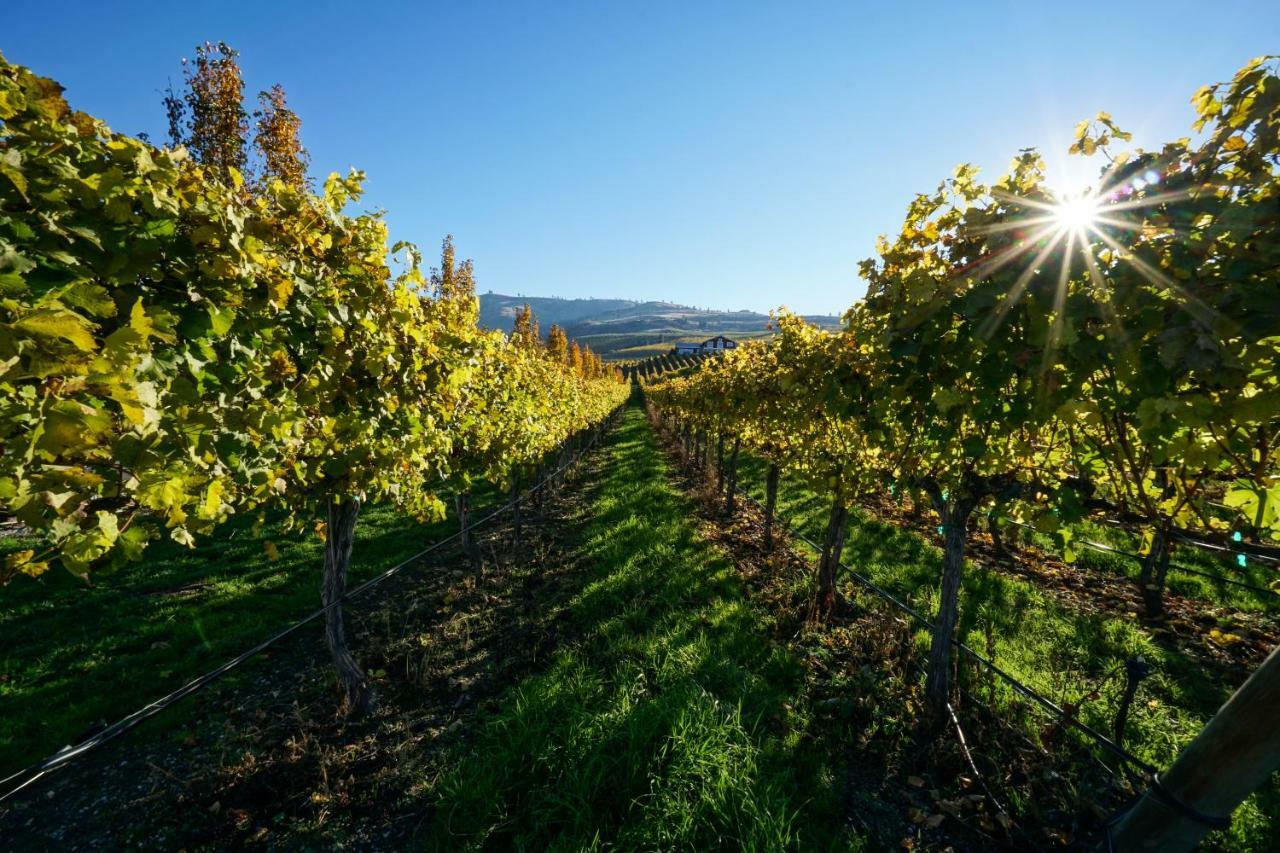 The Vineyards Lodge Chelan Bagian luar foto